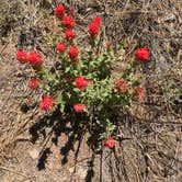 Review photo of Burnt Rancheria Campground by Kiana M., July 1, 2020