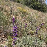 Review photo of Burnt Rancheria Campground by Kiana M., July 1, 2020