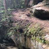 Review photo of Daniel Boone National Forest Twin Knobs Recreation Area by Brittni F., July 1, 2020