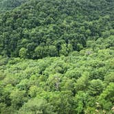 Review photo of Daniel Boone National Forest Twin Knobs Recreation Area by Brittni F., July 1, 2020