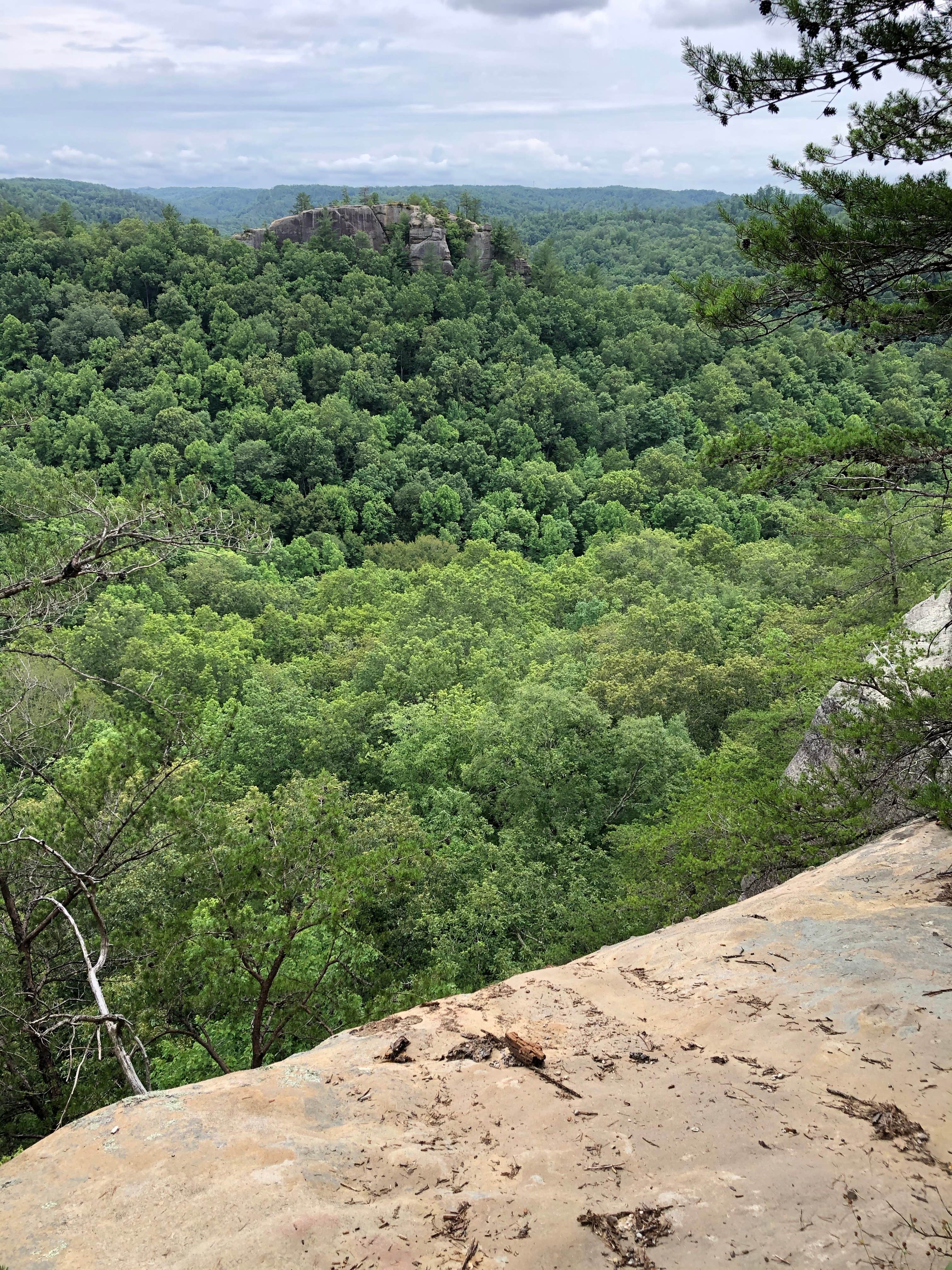 Camper-submitted photo at Daniel Boone National Forest Twin Knobs Recreation Area near Morehead, KY