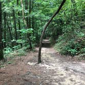 Review photo of Daniel Boone National Forest Twin Knobs Recreation Area by Brittni F., July 1, 2020