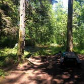 Review photo of Big Creek Campground by Audrey E., July 1, 2020