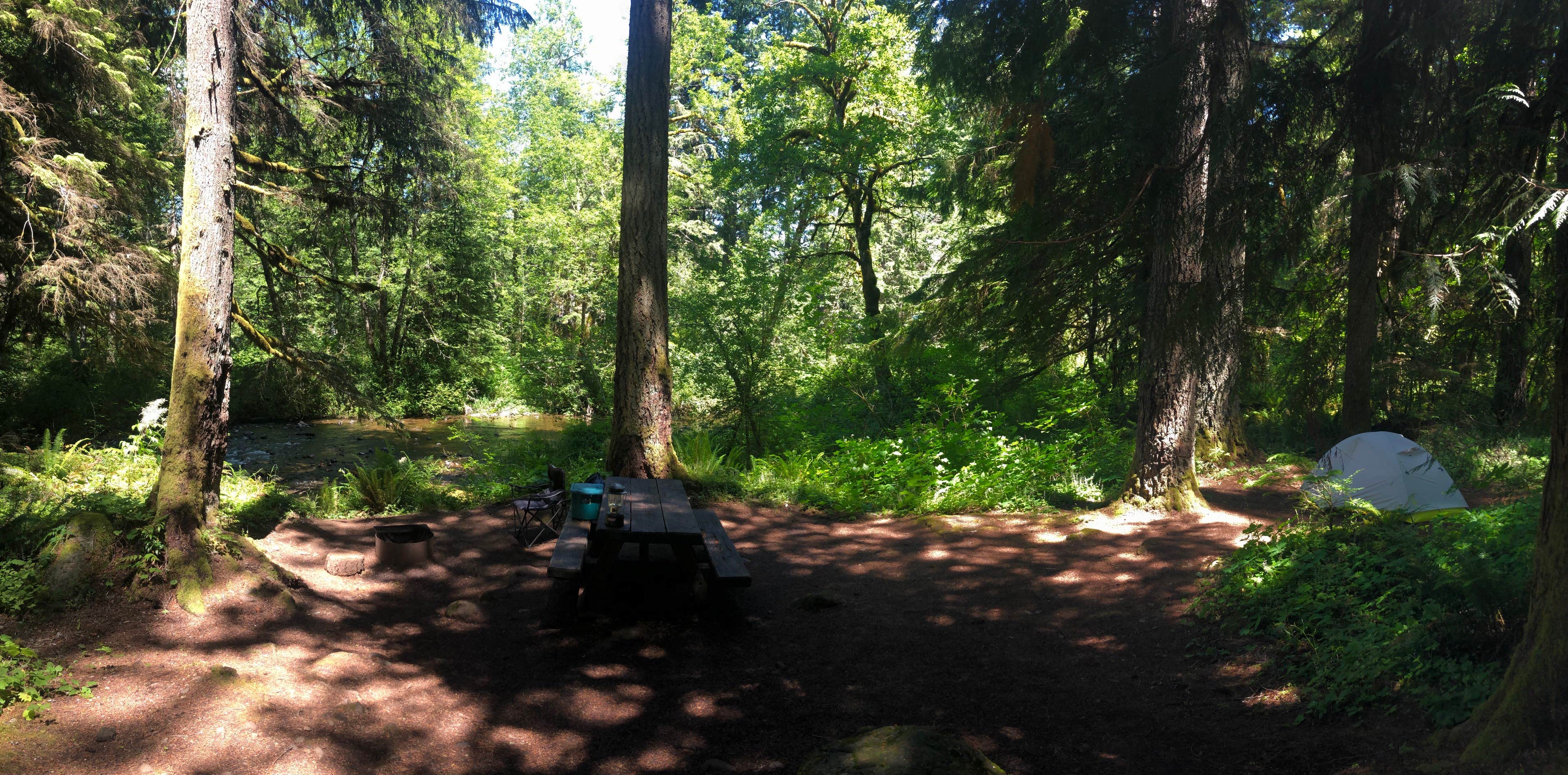 Camper submitted image from Big Creek Campground - 5