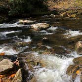 Review photo of Deep Creek Campground — Great Smoky Mountains National Park by Cory L., November 9, 2017