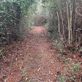 Review photo of Shepard State Park Campground by Bounding Around , July 1, 2020