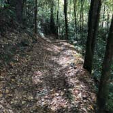 Review photo of Deep Creek Campground — Great Smoky Mountains National Park by Cory L., November 9, 2017