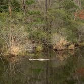 Review photo of Davis Bayou Campground — Gulf Islands National Seashore by Bounding Around , July 1, 2020