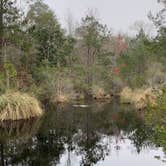 Review photo of Davis Bayou Campground — Gulf Islands National Seashore by Bounding Around , July 1, 2020