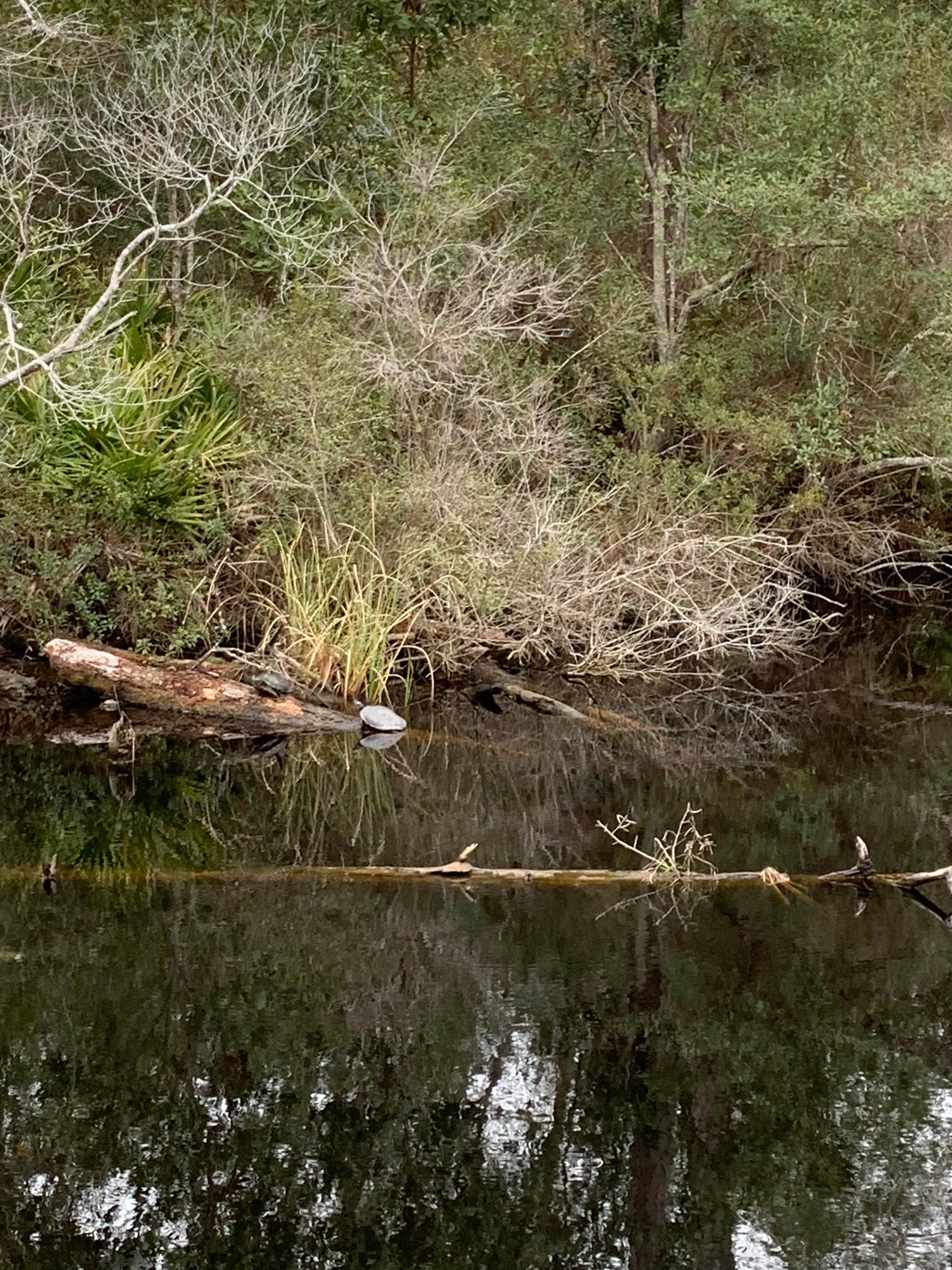 Camper-submitted photo at Davis Bayou Campground — Gulf Islands National Seashore in Mississippi