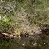 Review photo of Davis Bayou Campground — Gulf Islands National Seashore by Bounding Around , July 1, 2020