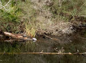 Davis Bayou Campground — Gulf Islands National Seashore