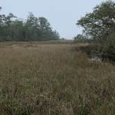 Review photo of Davis Bayou Campground — Gulf Islands National Seashore by Bounding Around , July 1, 2020