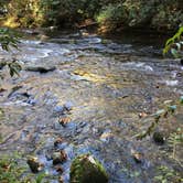 Review photo of Deep Creek Campground — Great Smoky Mountains National Park by Cory L., November 9, 2017