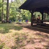 Review photo of Tar Hollow State Park Campground by Renée C., July 12, 2017