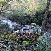 Review photo of Deep Creek Campground — Great Smoky Mountains National Park by Cory L., November 9, 2017