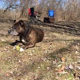 Review photo of Delaware State Park Campground by Renée C., March 10, 2020