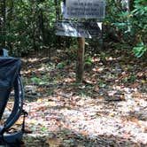 Review photo of Deep Creek Campground — Great Smoky Mountains National Park by Cory L., November 9, 2017