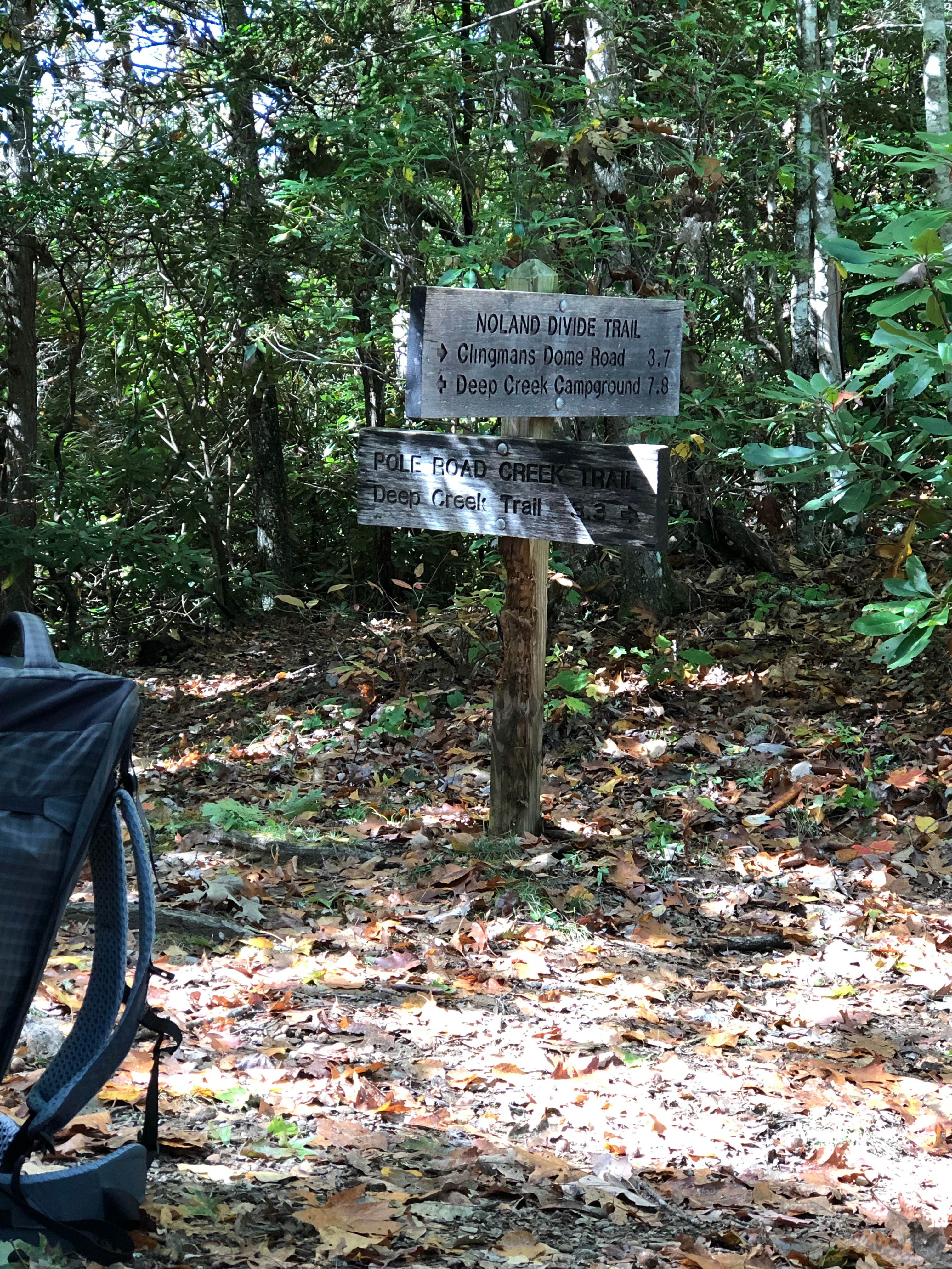 Camper submitted image from Deep Creek Campground — Great Smoky Mountains National Park - 3
