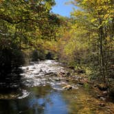 Review photo of Deep Creek Campground — Great Smoky Mountains National Park by Cory L., November 9, 2017