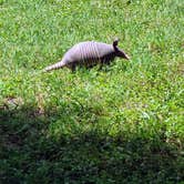 Review photo of Summit Vacation Resort by Levi  B., July 1, 2020
