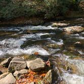 Review photo of Deep Creek Campground — Great Smoky Mountains National Park by Cory L., November 9, 2017