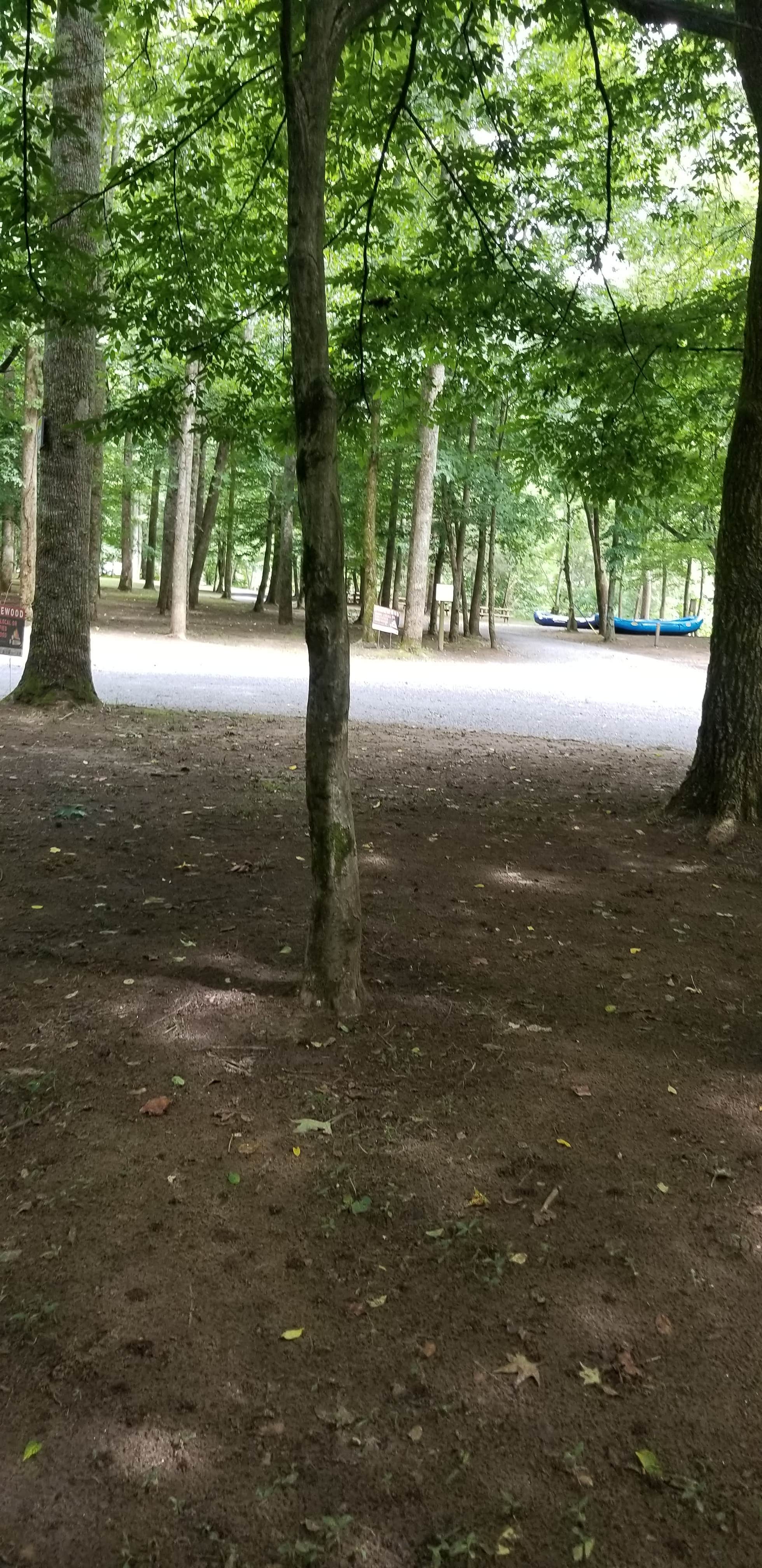 Camper-submitted photo at Fox Fire Riverside Campground near Hartford, TN