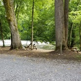 Review photo of Fox Fire Riverside Campground  by Patti  C., July 1, 2020