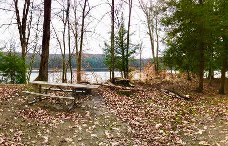 Camper submitted image from Hunts Pond State Forest - 4