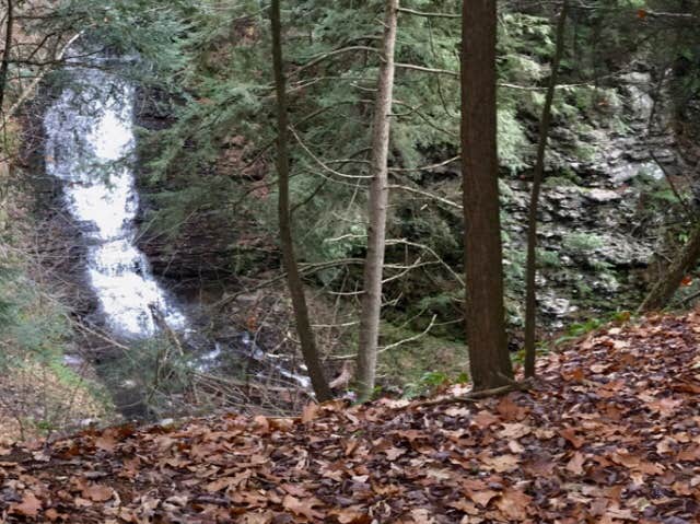 Camper submitted image from Hunts Pond State Forest - 2
