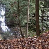 Review photo of Hunts Pond State Forest by Janet R., November 10, 2017