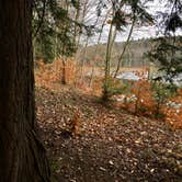 Review photo of Hunts Pond State Forest by Janet R., November 10, 2017