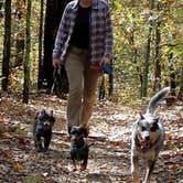 Review photo of Cowans Gap State Park Campground by Shelly S., November 1, 2017