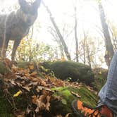 Review photo of Cowans Gap State Park Campground by Shelly S., November 1, 2017