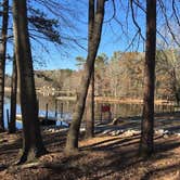 Review photo of Cane Creek Park by Janet R., November 10, 2017