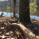 Review photo of Cane Creek Park by Janet R., November 10, 2017