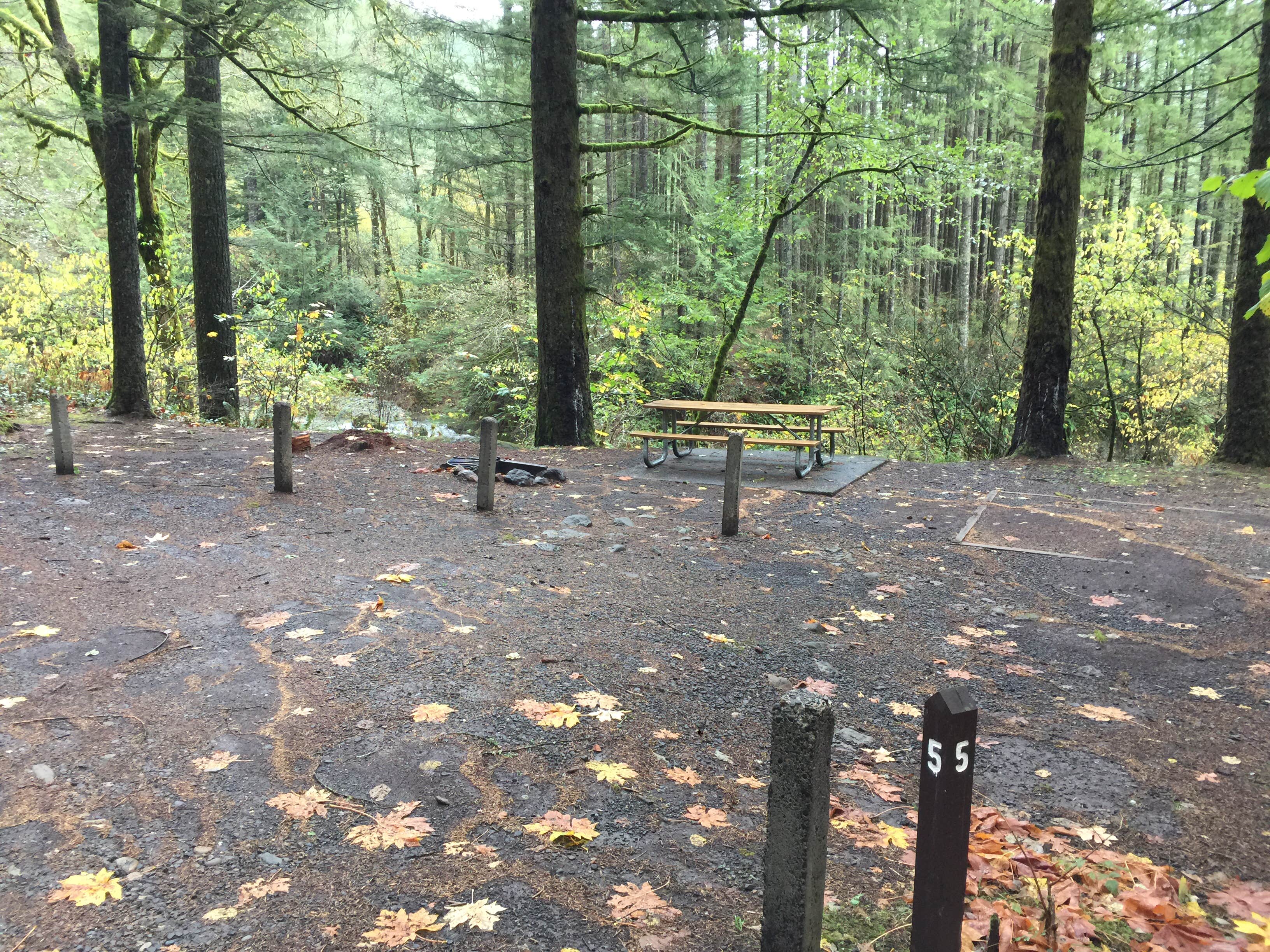 Camper submitted image from Dougan Creek Campground - 3