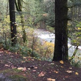 Review photo of Dougan Creek Campground by Bjorn S., November 11, 2017