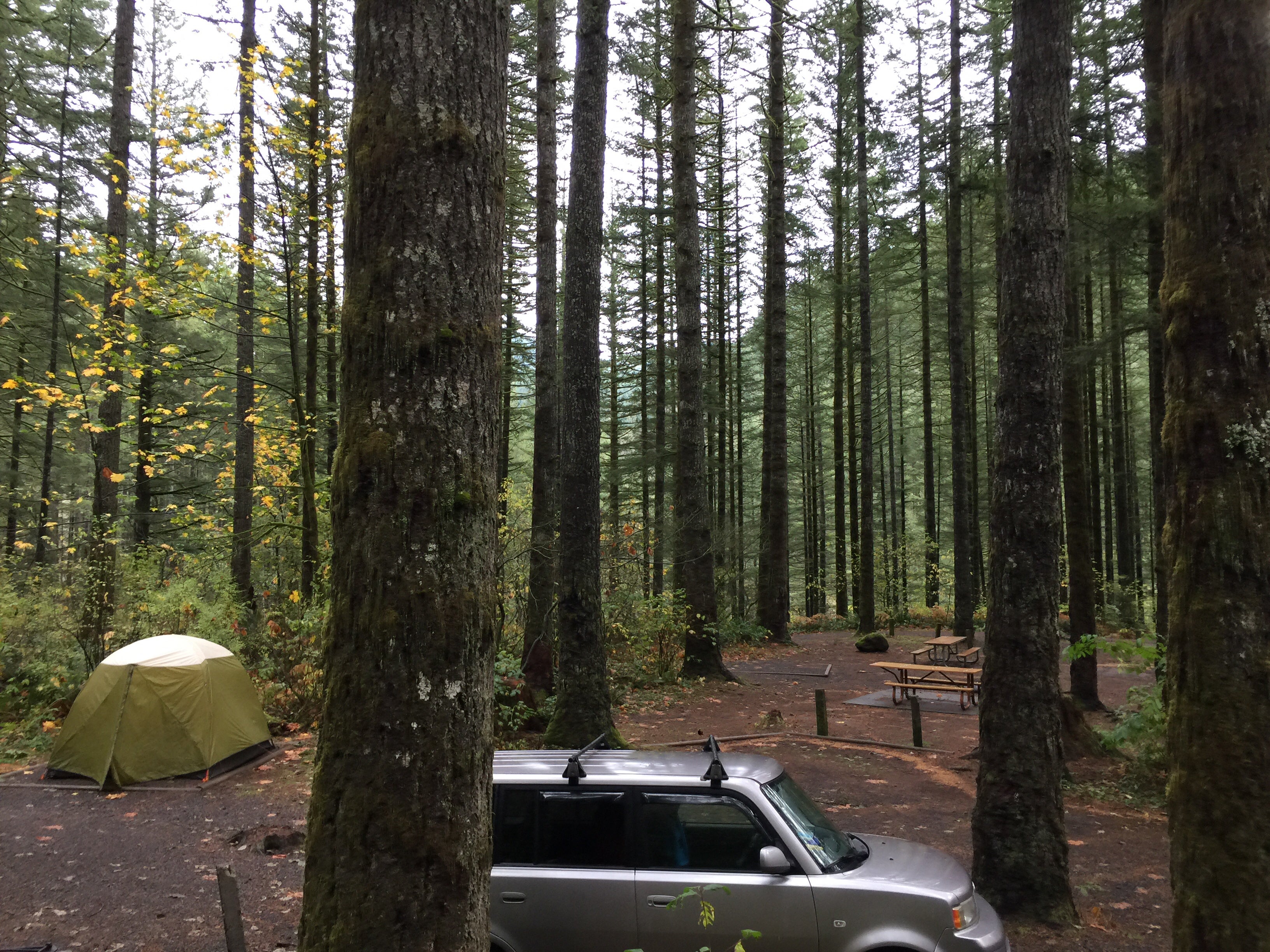Camper submitted image from Dougan Creek Campground - 1