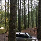 Review photo of Dougan Creek Campground by Bjorn S., November 11, 2017