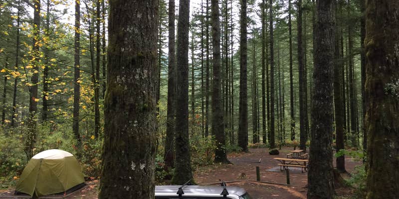 Camper submitted image from Dougan Creek Campground