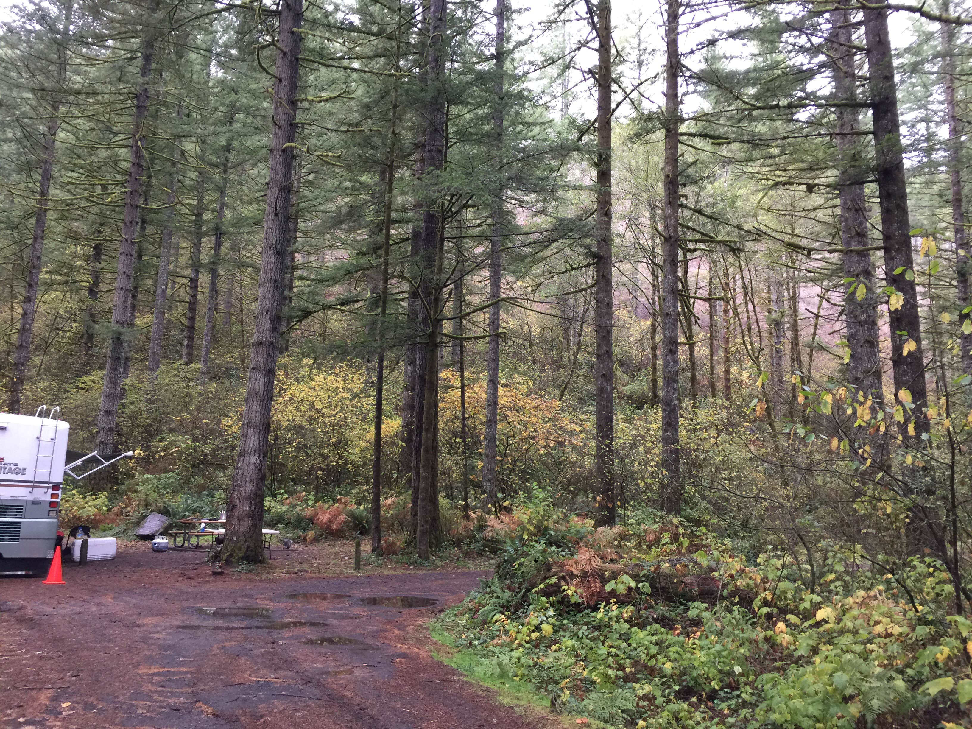 Camper-submitted photo at Dougan Creek Campground near Bridal Veil, OR