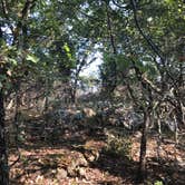 Review photo of Primitive Area — Lake Mineral Wells State Park by Sarah J., November 11, 2017