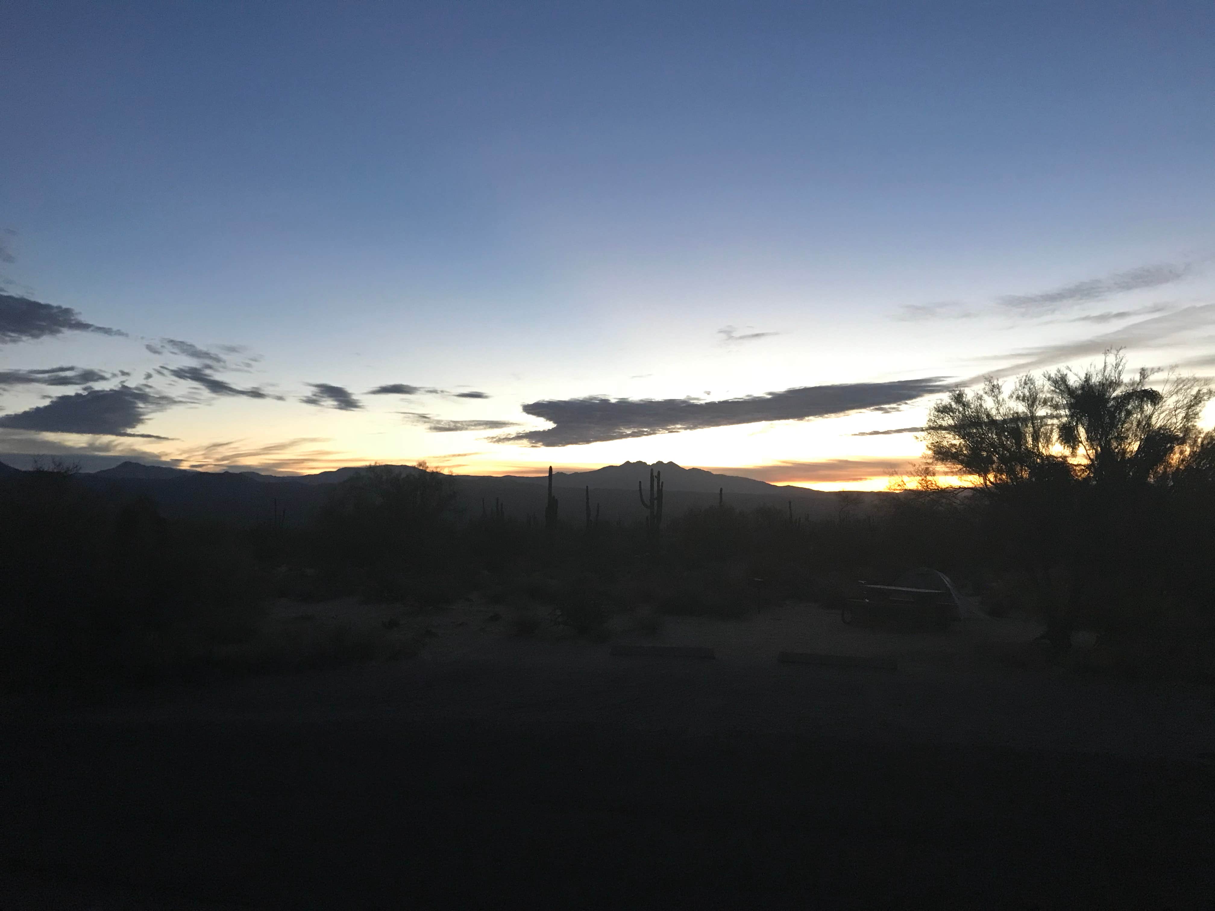 Sara S.'s photo of a dispersed camping area at McDowell Mountain Regional Park near Gilbert, AZ