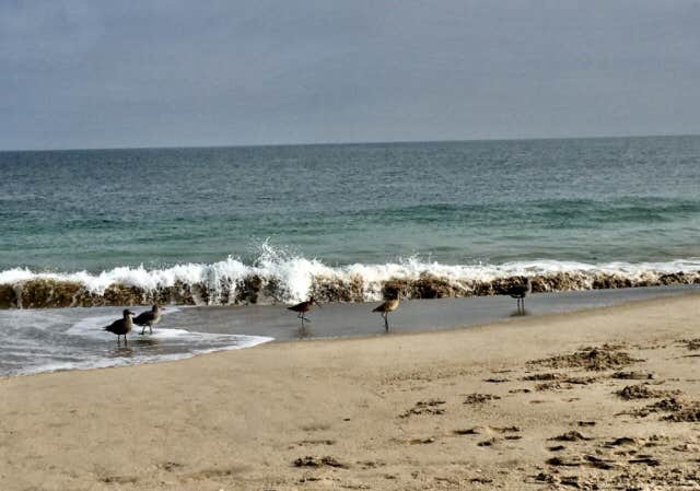 Camper submitted image from Point Mugu Recreation Facility - 2