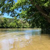 Review photo of Andy Guest/Shenandoah River State Park Campground by RL , June 8, 2020