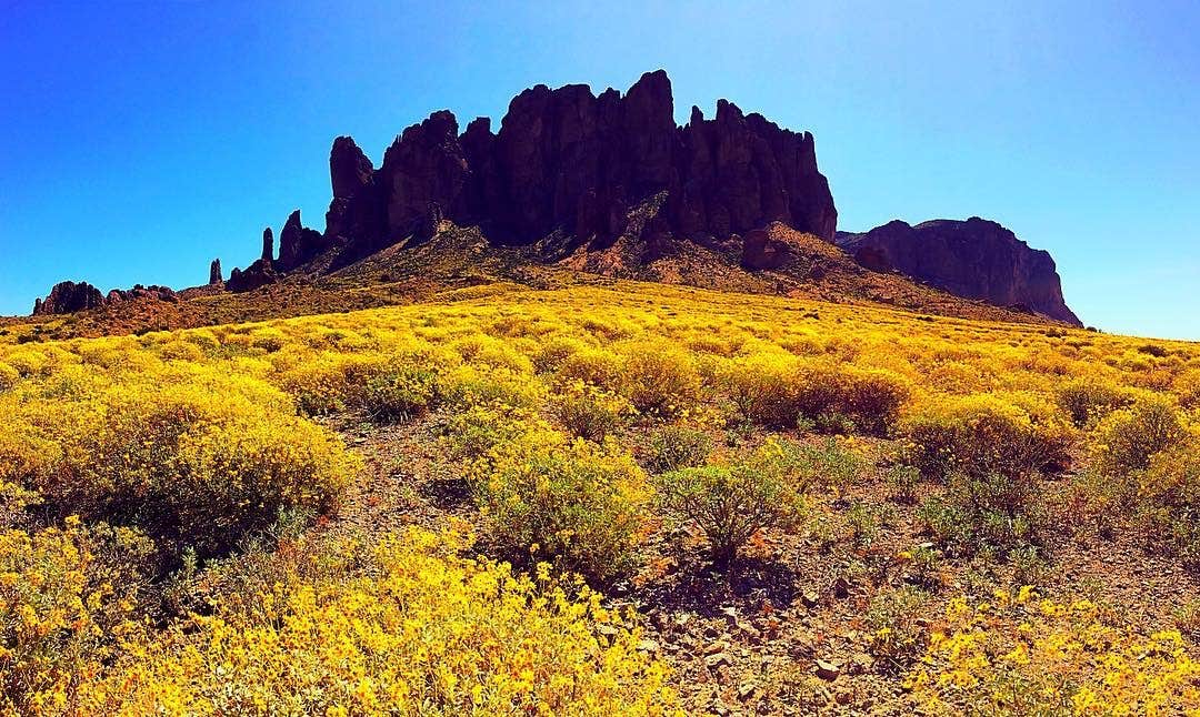 Camper submitted image from Lost Dutchman State Park Campground - 2