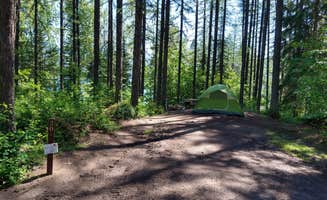 Elizabeth N.'s photo at Lid Creek Campground near Essex, MT