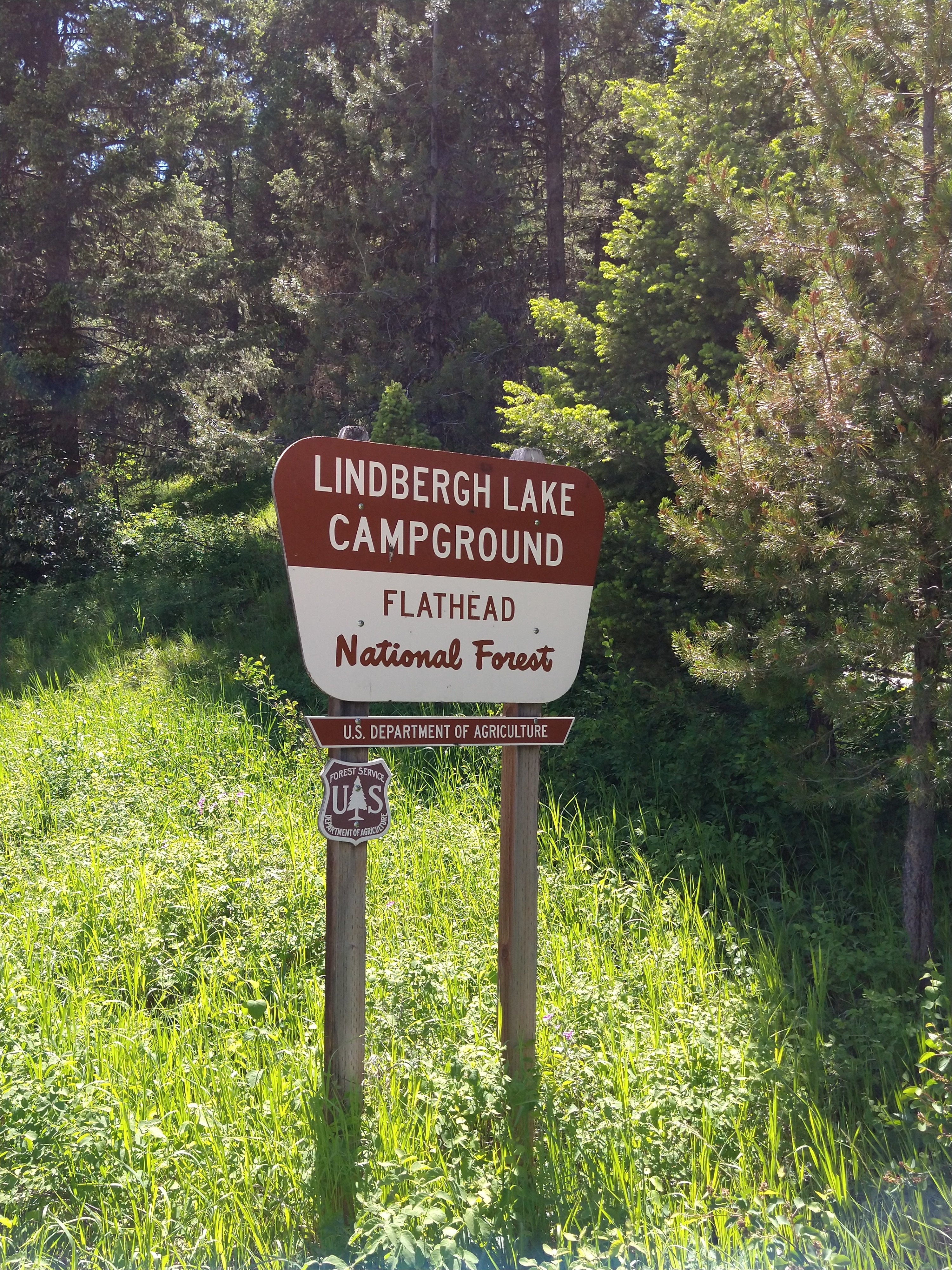 Camper submitted image from Lindbergh Lake Campground - 4