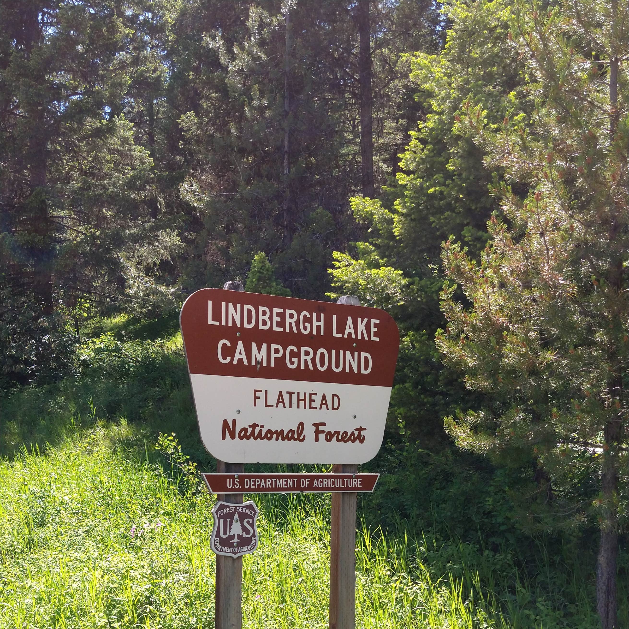 Lindbergh Lake Campground Camping The Dyrt